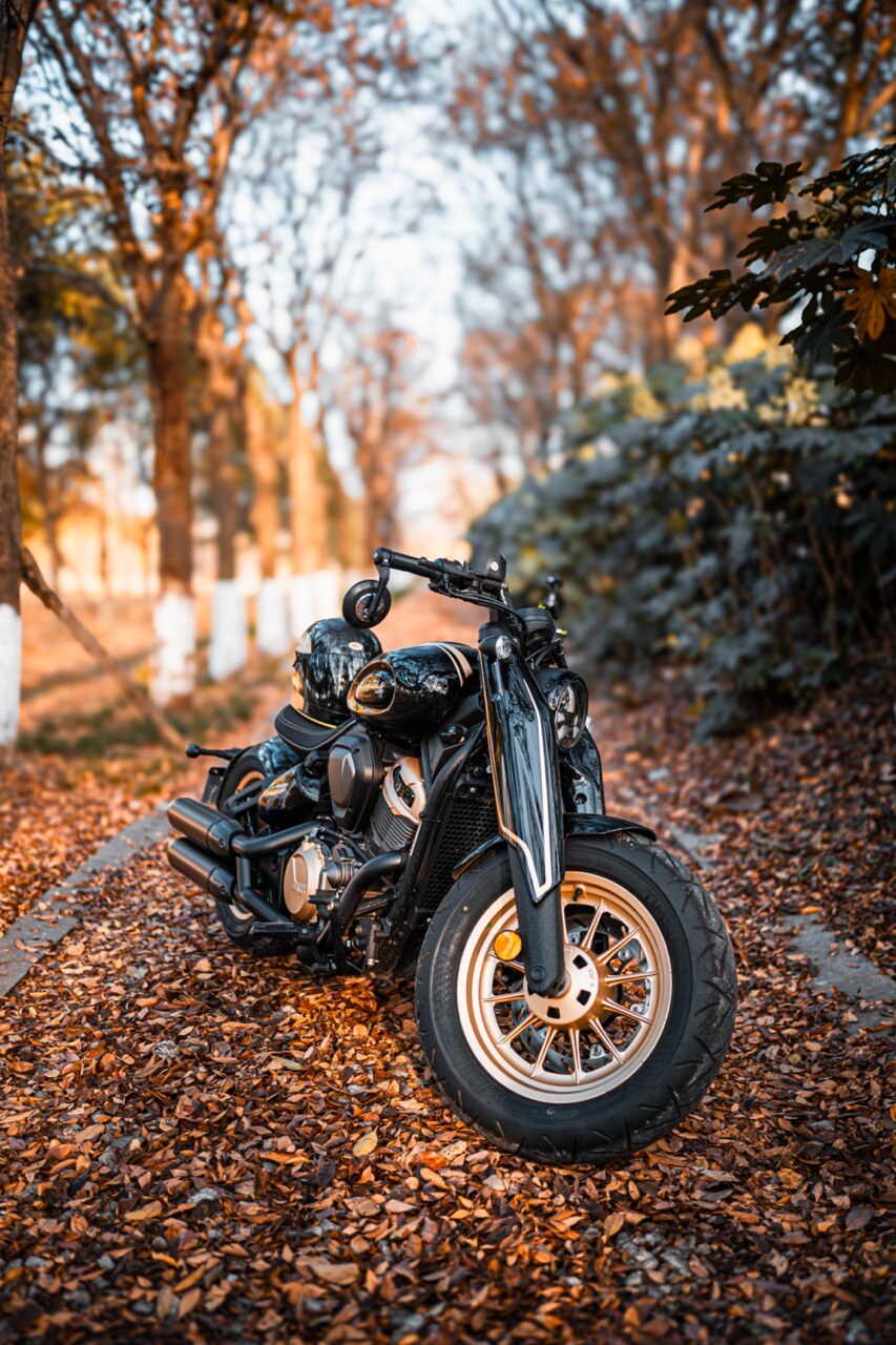 Benda Napoleon 500 Bobber, Phân Phối Chính Hãng, Giá Rẻ Tại Huế