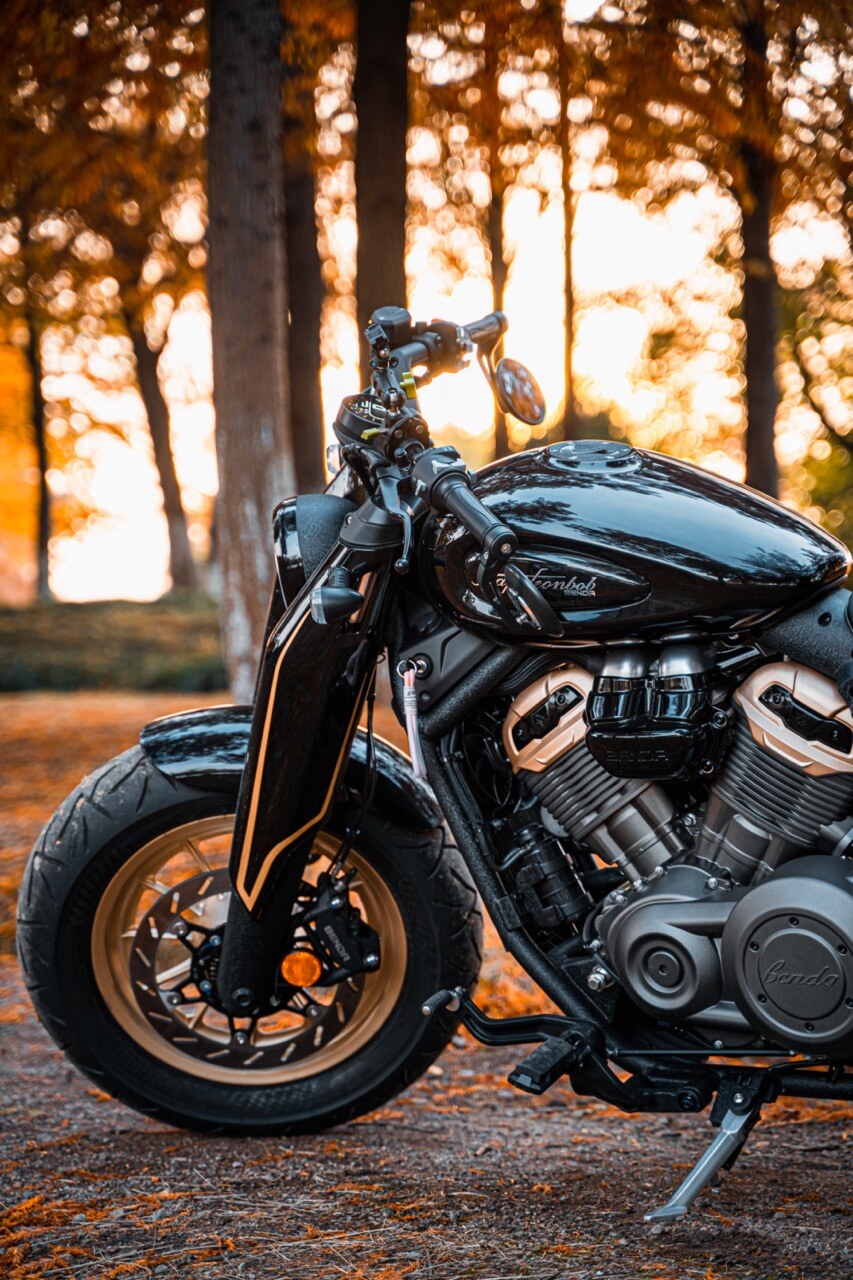 Benda Napoleon 500 Bobber, Phân Phối Chính Hãng, Giá Rẻ Tại Huế