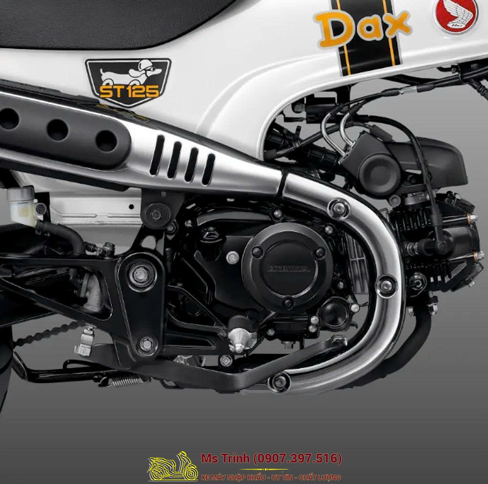 Honda Dax ST125 2026 tại Huế - Minibike huyền thoại khung T-Bone đầy cá tính