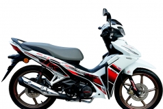 Honda Dash 125 2026 HRC 2026 tại Huế - Xe số thể thao mạnh, mượt, giá hợp lý